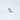 Pingente em Ouro 18K Letra 'C' com 13 Diamantes / 18K Gold Letter 'C' Pendant with 13 Diamonds - Ricca Jewelry