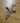 Pingente Cruz Palito com Cristo em Ouro Branco - Ricca Jewelry